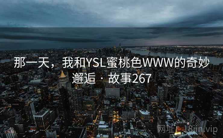 那一天，我和YSL蜜桃色WWW的奇妙邂逅 · 故事267