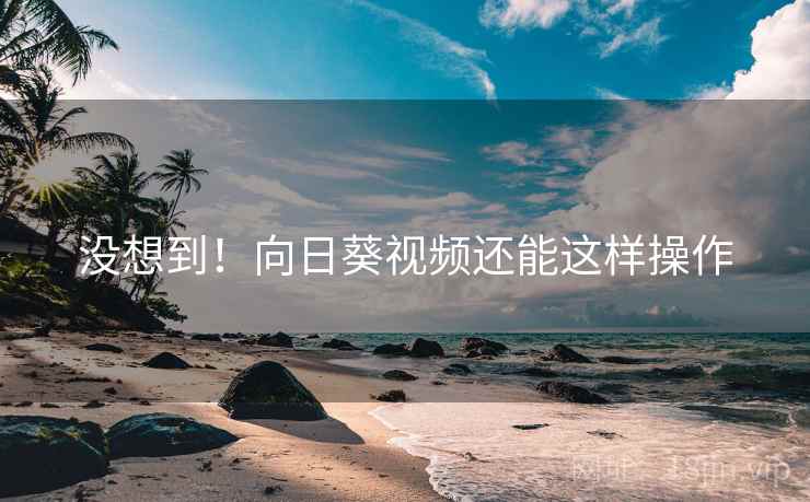 没想到！向日葵视频还能这样操作