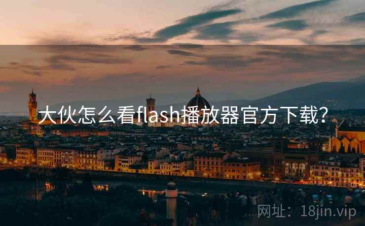 大伙怎么看flash播放器官方下载？