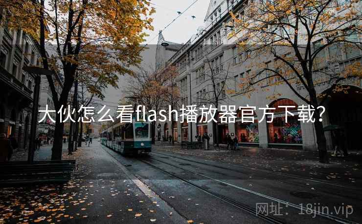 大伙怎么看flash播放器官方下载？